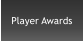 Player Awards